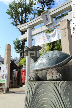 亀有 香取神社 狛亀 亀有 香取神社 狛亀 34416024