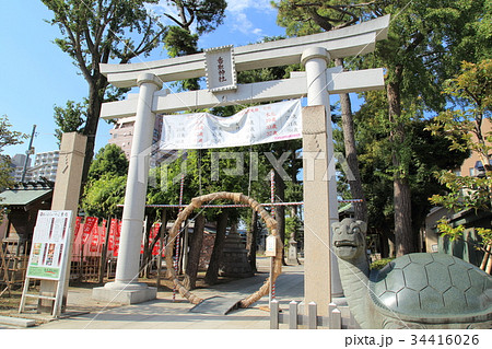 亀有 香取神社 狛亀 亀有 香取神社 狛亀 34416026