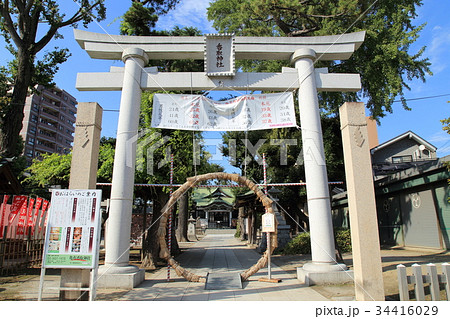 亀有 香取神社 狛亀 亀有 香取神社 狛亀 34416029