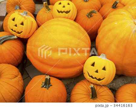 ハロウィン ハロウィン 34416163