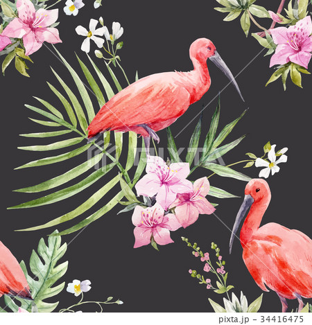 Watercolor tropical vector pattern 34416475