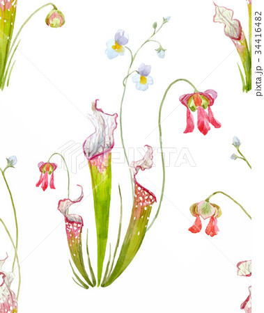 Watercolor tropical pattern Watercolor tropical pattern 34416482