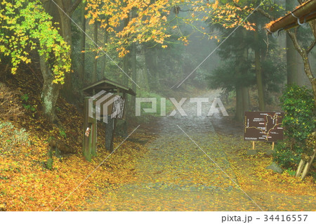 吉野 金峯神社 紅葉 吉野 金峯神社 紅葉 34416557