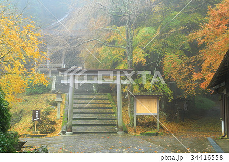 吉野　金峯神社　紅葉 34416558