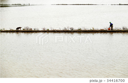 Man catch fish on flooded field 34416700