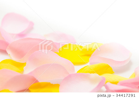 バラの花びら　バックグラウンド 34417291