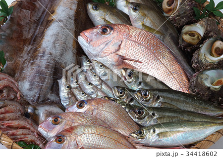 魚 魚介類 ざる盛り 新鮮食材 生魚 食べ物 海産物 鮮魚 の写真素材