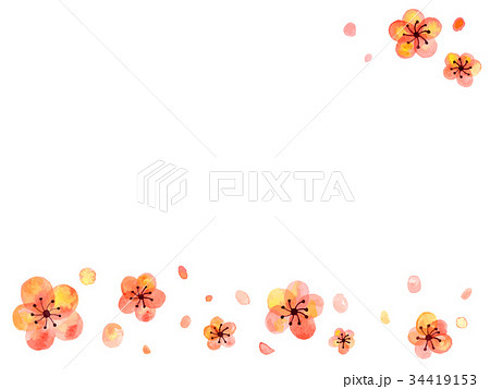 梅の花フレームのイラスト素材 34419153 Pixta