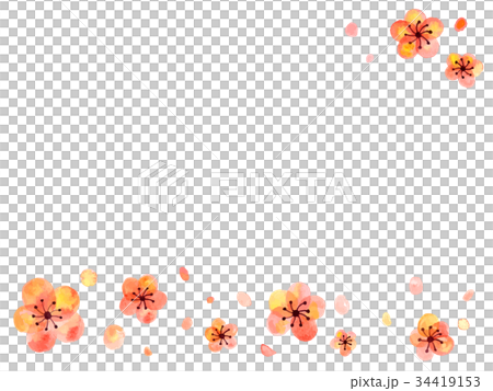 梅の花フレーム 34419153