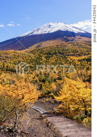 富士山・奥庭からの景色 34420042