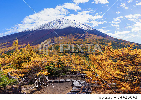 富士山・奥庭からの景色 34420043
