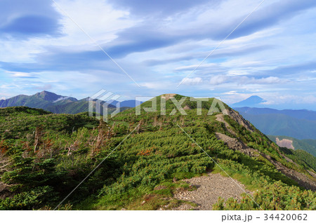 南アルプス南部・光岳からの富士山 南アルプス南部・光岳からの富士山 34420062