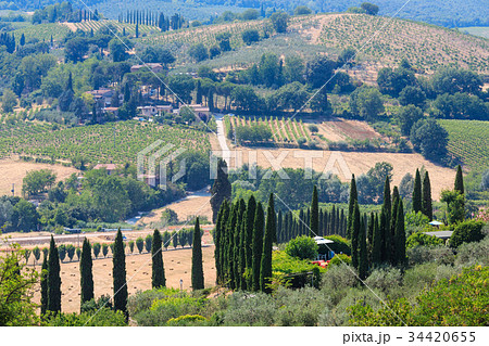 Tuscany countryside, San Gimignano, Italy 34420655