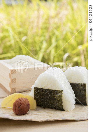 おにぎりと稲穂　収穫イメージ 34421528