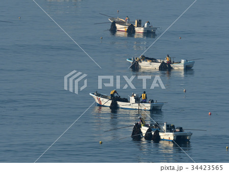 北海道の風物詩　昆布漁 34423565