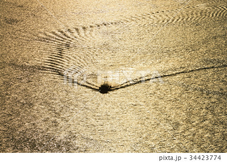 黄昏の航跡2(高松屋島より) 黄昏の航跡2(高松屋島より) 34423774