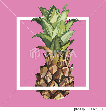 Pineapple with tropical leaves.Element for design Pineapple with tropical leaves.Element for design 34424554