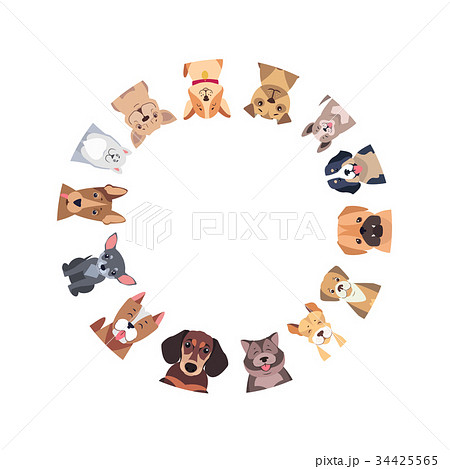 Circle of Different Purebred Dogs. Vector 34425565