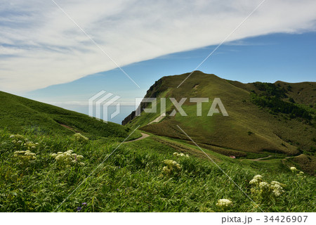 北海道 礼文島 桃岩展望台からの夏の風景 34426907