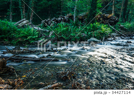 Cascading Stream in mountain forest Cascading Stream in mountain forest 34427114