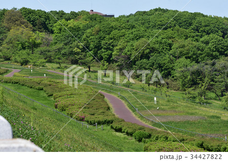 狭山自然公園×景色 狭山自然公園×景色 34427822
