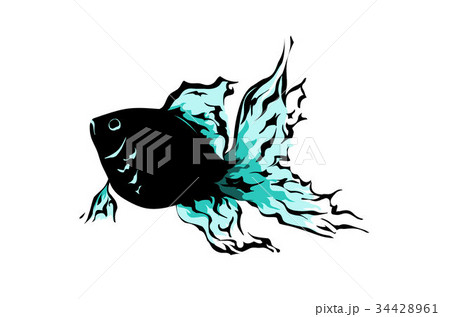 金魚 34428961