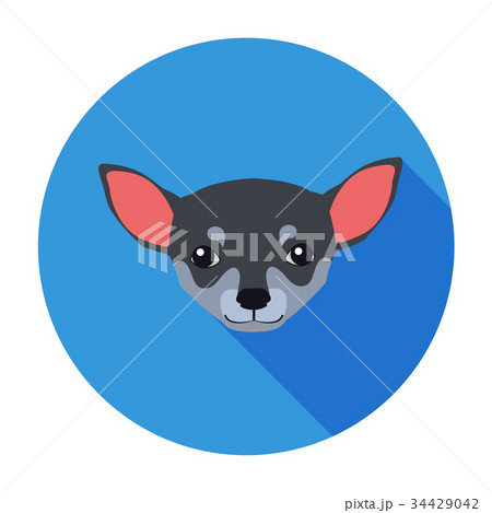 Small Muzzle of Chihuahua Dog Cartoon Drawing Small Muzzle of Chihuahua Dog Cartoon Drawing 34429042