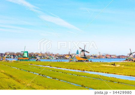 Panorama of windmills, Holland 34429980