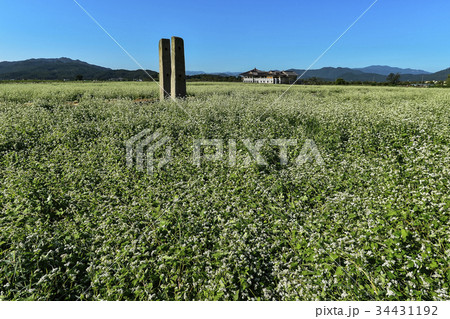 季節 夏 山 34431192