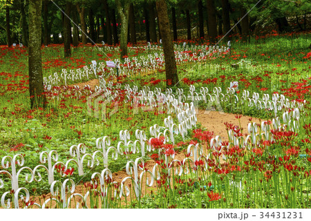 風景 屋外 室外 34431231