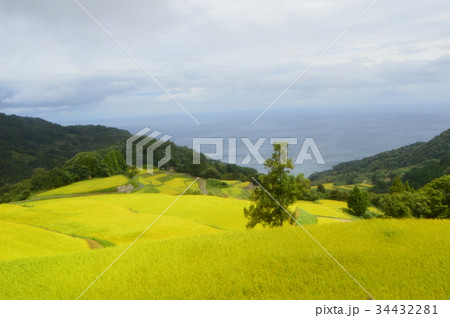 岩首昇竜棚田(新潟県佐渡市岩首地区) 岩首昇竜棚田(新潟県佐渡市岩首地区) 34432281