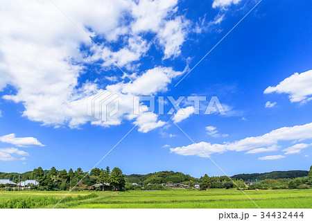長柄町　睦沢町の里山風景 34432444