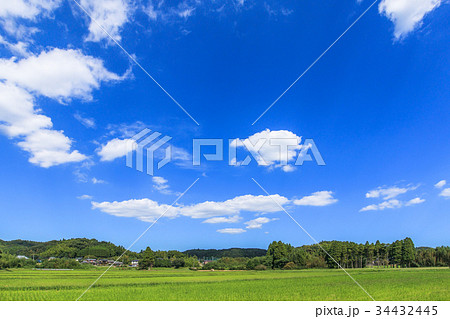 長柄町 睦沢町の里山風景 長柄町 睦沢町の里山風景 34432445