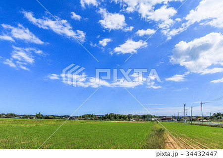長柄町　睦沢町の里山風景 34432447