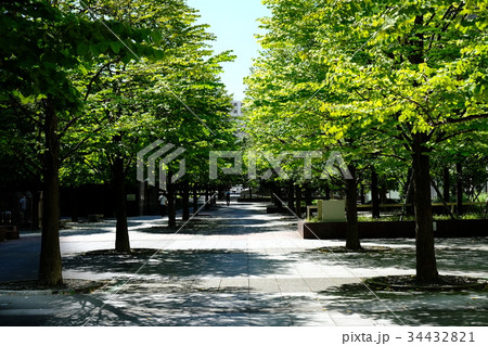 品川セントラルガーデン 34432821