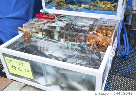チャガルチ市場付近の魚屋 チャガルチ市場付近の魚屋 34435043