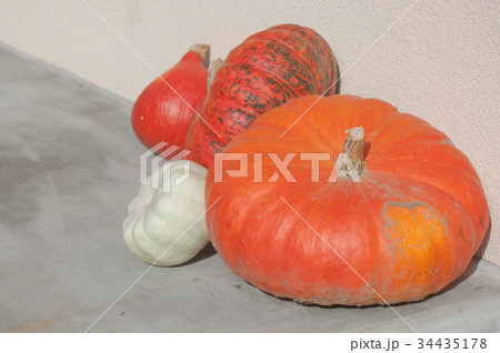group of pumpkins in decoration house group of pumpkins in decoration house 34435178