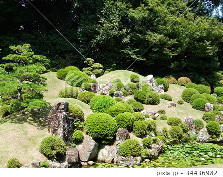 浜松 龍潭寺 観光イメージ 浜松 龍潭寺 観光イメージ 34436982