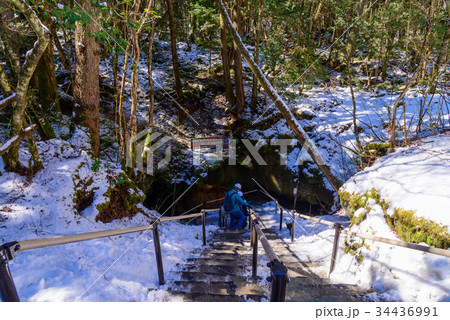 【山梨県】富岳風穴入口の階段を降りる人達 34436991