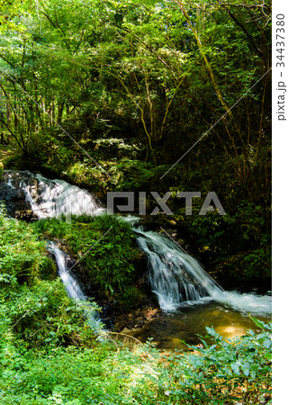 茨城 河鹿沢の雄滝 茨城 河鹿沢の雄滝 34437380