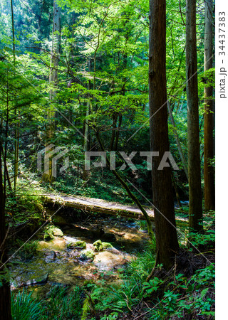 茨城 河鹿沢の雄滝 茨城 河鹿沢の雄滝 34437383