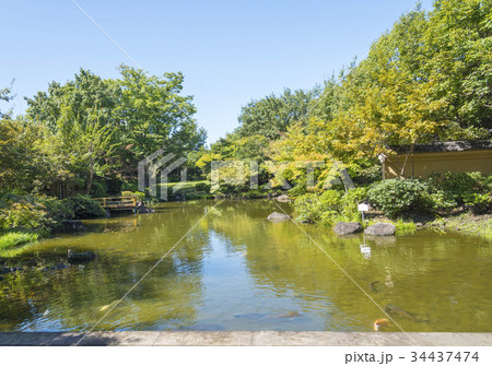 回遊式日本庭園の東渕江庭園(東京都足立区) 回遊式日本庭園の東渕江庭園(東京都足立区) 34437474