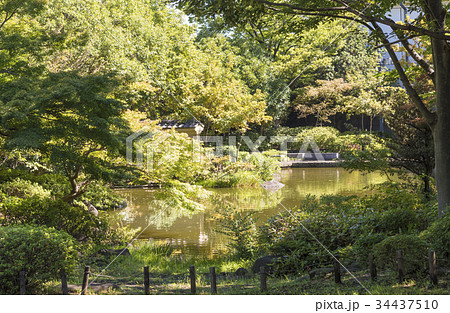 回遊式日本庭園の東渕江庭園（東京都足立区） 34437510