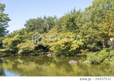 回遊式日本庭園の東渕江庭園（東京都足立区） 34437512