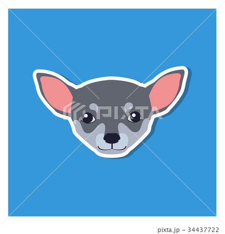Little Head of Chihuahua Dog Front View Flat Icon Little Head of Chihuahua Dog Front View Flat Icon 34437722
