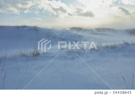 オロロンラインの地吹雪 オロロンラインの地吹雪 34438645