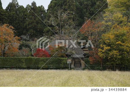 秋の落柿舎 秋の落柿舎 34439884