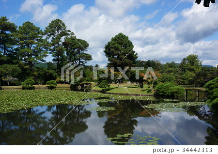 岡山県津山市にある回遊式日本庭園「衆楽園」 34442313
