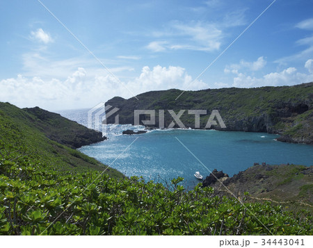 小笠原諸島南島 34443041