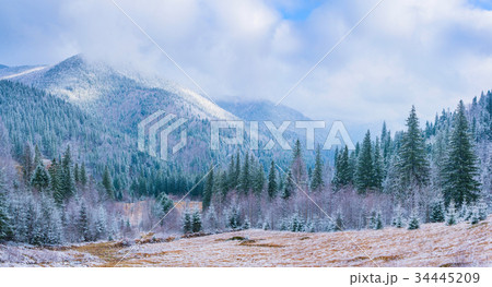 winter landscape trees in frost winter landscape trees in frost 34445209
